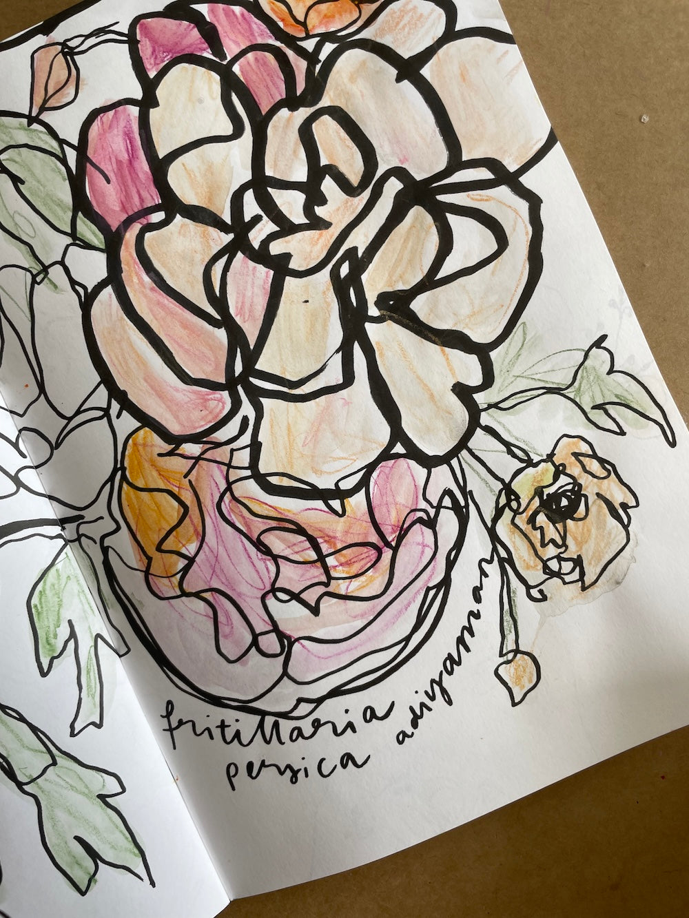 Luovuus kukkii - rajoja rikkova värityskirja