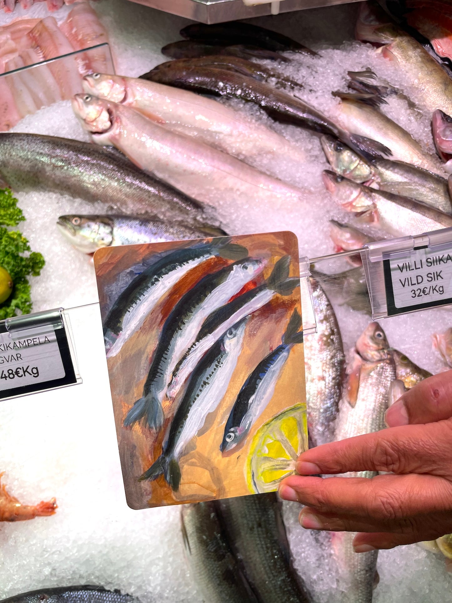 Postikortti | Sardiinit